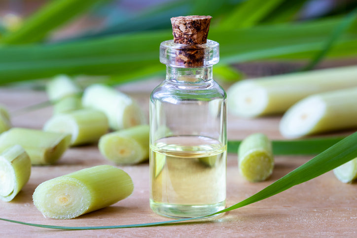 lemongrass oils massage therapy