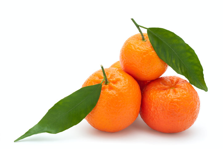 essential oils clementine